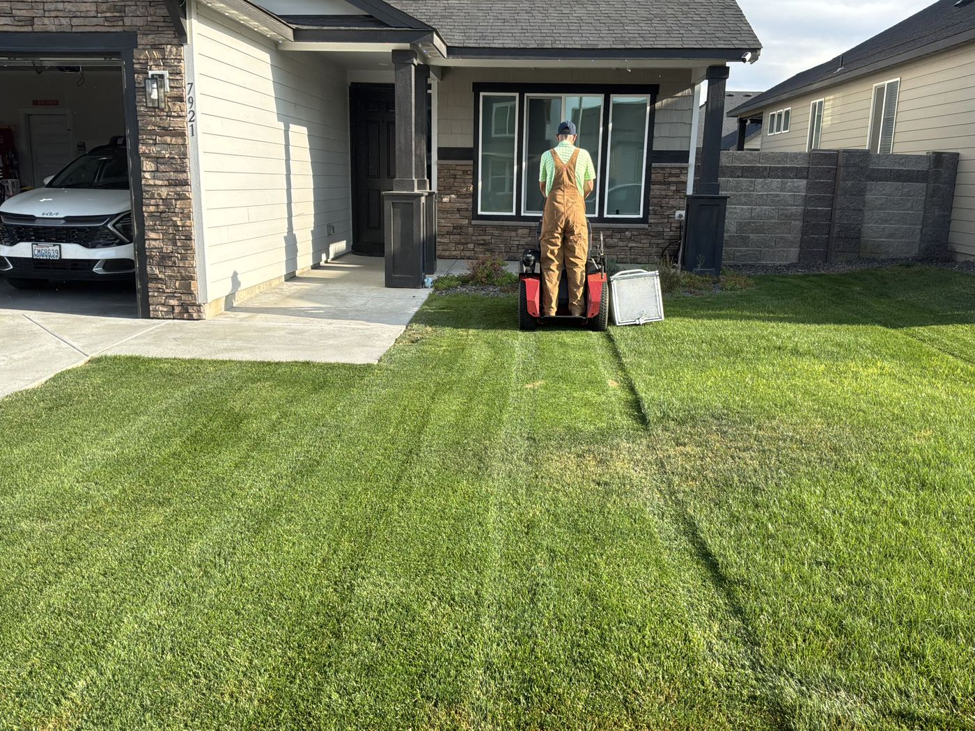 Mowing a striped lawn